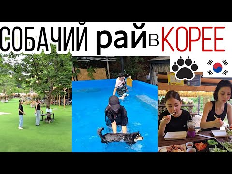 Видео: Выходной день с детьми / Учим Мишу плавать / KOREA VLOG