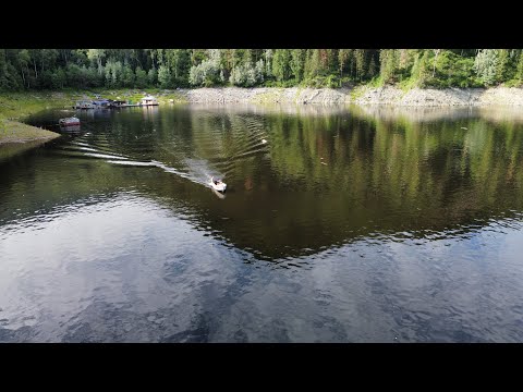 Видео: Рыбалка на хариуса в верховьях Енисея июль 2023.