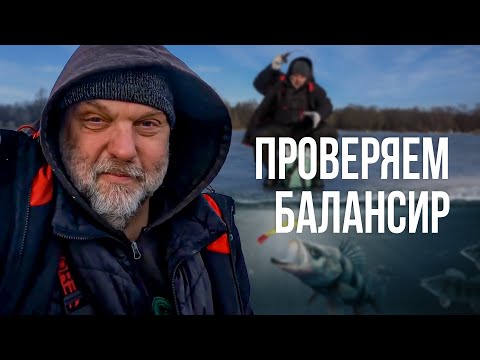 Видео: ОКУНЬ на балансиры! Зимняя РЫБАЛКА Нормунда ГРАБОВСКИСА на реке с балансирами!