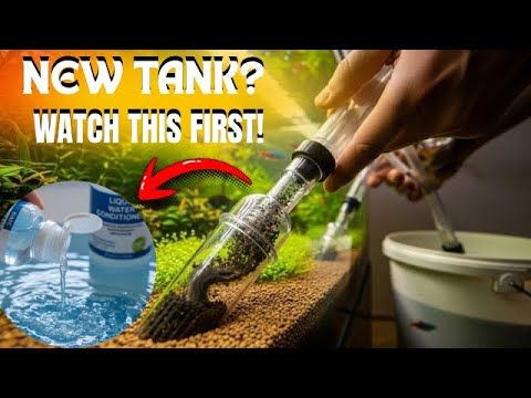 Видео: 10 основных вещей для создания идеального аквариума