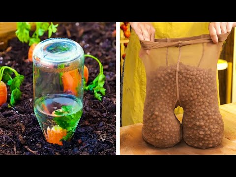 Видео: Полезные хитрости для упрощения садоводства 🌱