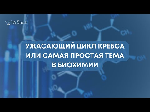 Видео: Цикл Кребса: самое понятное объяснение