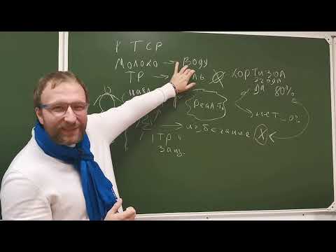 Видео: Внутренняя тюрьма, которая была призвана спасти. Избегание и травма. ПТСР очень простыми словами.