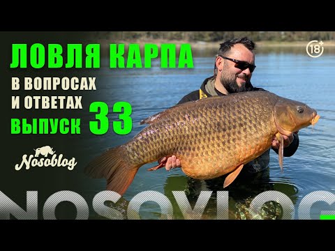Видео: Карпфишинг в вопросах и ответах, выпуск 33, А. Колесников