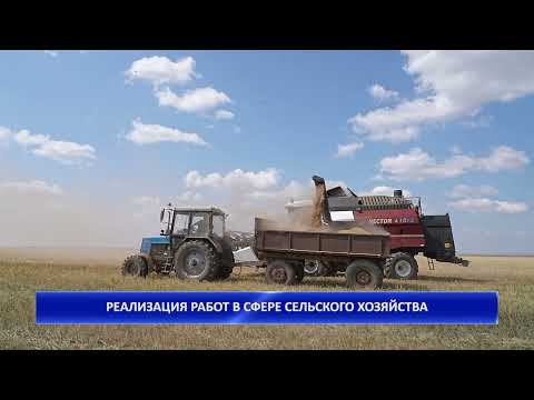 Видео: РЕАЛИЗАЦИЯ РАБОТ В СФЕРЕ СЕЛЬСКОГО ХОЗЯЙСТВА