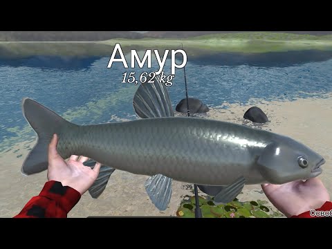 Видео: СЛОВИЛ АМУРА НА 15КГ! Пришлось отпустить(   ultimate fishing simulator