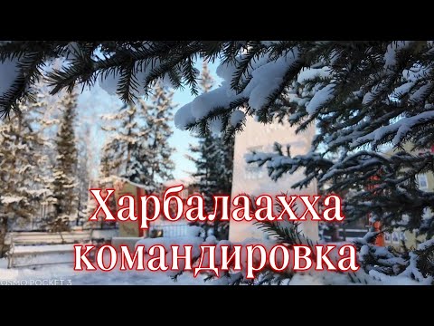 Видео: Харбалаахха командировка