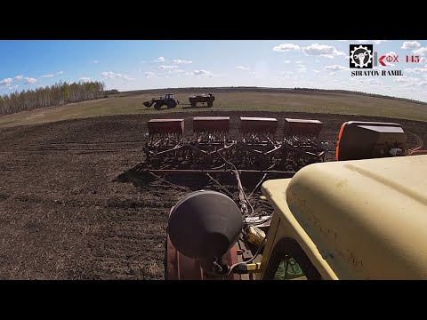 Видео: Трактор К-701 #Сев льна. Сезон 2022