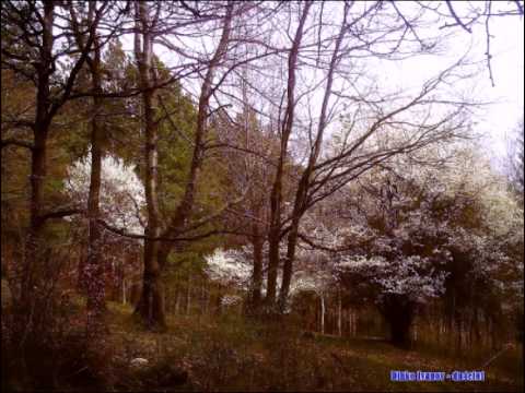 Видео: Вивалди   Пролет