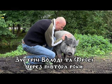 Видео: Зустріч Володі та Фросі через півтора роки