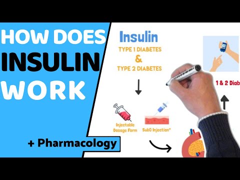 Видео: Как работает инсулин? (EASY Pharmacology)