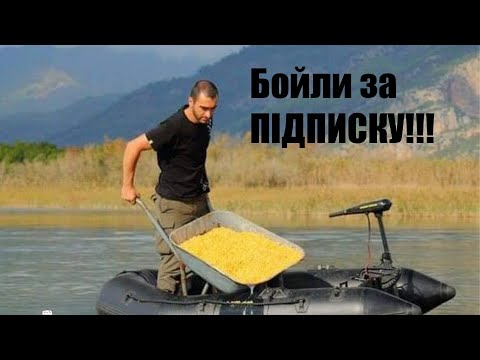 Видео: В ПОГОНІ ЗА ДИКИМ КОРОПОМ.Осінь.Корчів.