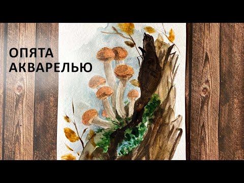 Видео: Осенние грибы опята на пне. Акварель для начинающих 🍁 Осенний рисунок