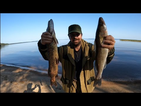 Видео: РЫБАЛКА В КАРЕЛИИ НА ОЗЕРЕ СЯМОЗЕРО / ЛОВИМ СУДАКА И ЩУКУ !