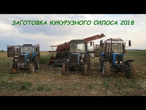 Видео: Заготовка кукурузного силоса 2018