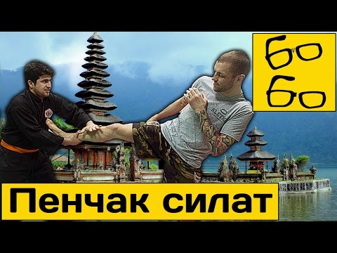 Видео: Пенчак силат с Дмитрием Ковалевым и спарринги Андрея Басынина с мастерами силата
