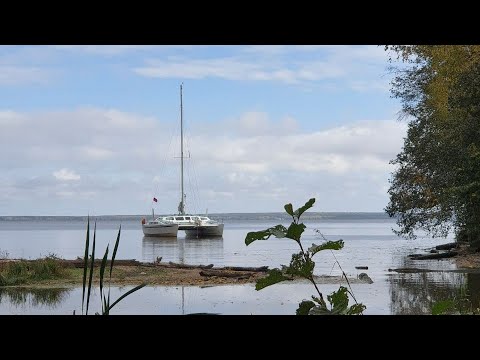 Видео: Как мы катамаран по реке гнали.