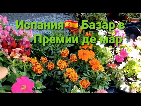 Видео: Испания.🇪🇸 Базар в Премии де мар