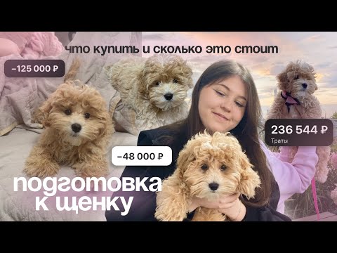Видео: СКОЛЬКО СТОИТ ЗАВЕСТИ ЩЕНКА МАЛЬТИПУ? | Подготовка и мои покупки