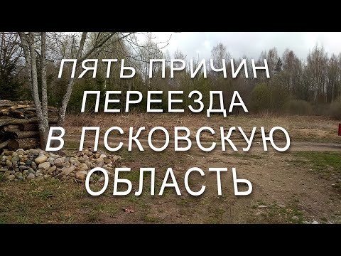Видео: Лучшее место в Псковской области для переезда на землю.