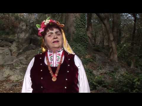 Видео: Иванка Димитрова- Димо на Рада думаше