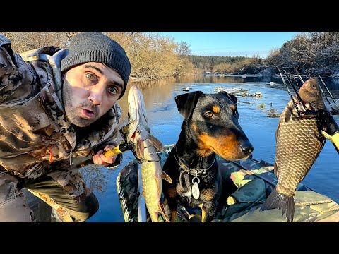 Видео: Ловля на острогу и паук зимой. Супер рыбалка