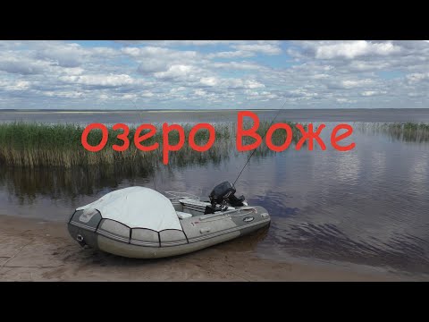 Видео: рыбалка на озере Воже