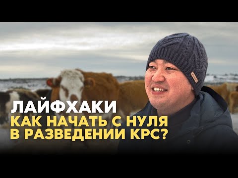 Видео: Вот Почему Эти Люди Разводят Тысячи КРС! Животноводство в Казахстане!
