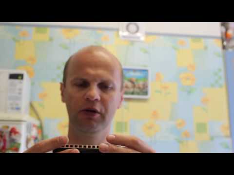 Видео: Обзор гармошки Easttop T008k с хромированными платами