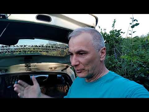 Видео: Поход выходного дня- мачете или топор?