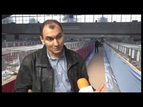 Видео: БАЛКАНСКИ ПОРОДИ ПТИЦИ