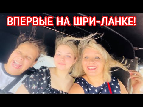 Видео: ВПЕРВЫЕ НА ШРИ-ЛАНКЕ! ДЖУНГЛИ, ОКЕАН, ОБЕЗЬЯНЫ, ЧЕРЕПАХИ!
