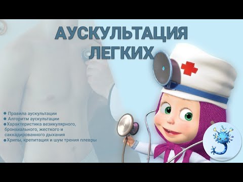 Видео: Аускультация легких