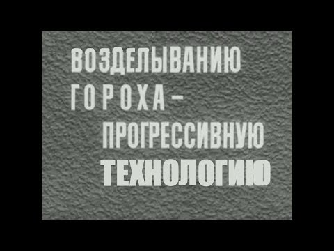 Видео: Технология возделывания гороха