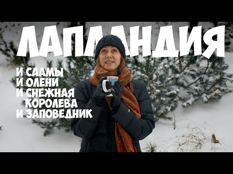 Видео: Лапландия – родина северного оленя и Снежной королевы. Яна Шклярская