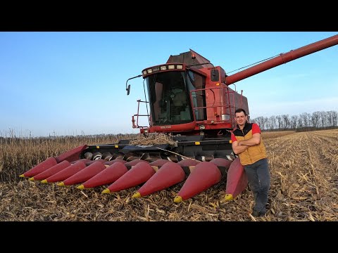 Видео: Сезон жнив 2024. Як косить жатка Geringhoff PC A. Case 2388 МТЗ 80, МТЗ 892, ЮМЗ 6