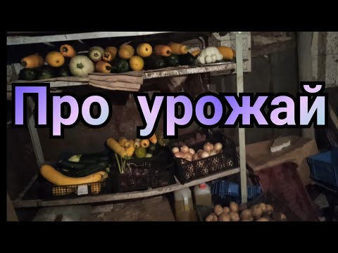 Видео: Что выросло у ленивого огородника?