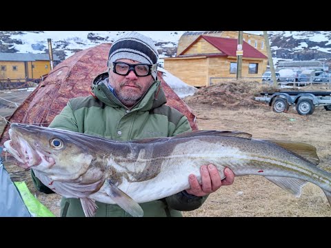 Видео: Рыбалка на Баренцевом Море Май 2021 часть 2