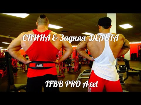 Видео: СПИНА & задняя  ДЕЛЬТА с IFBB PRO Axel