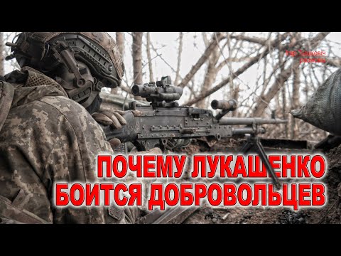 Видео: Почему Лукашенко боится добровольцев: три основные причины