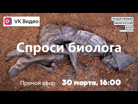 Видео: Спроси биолога. Болотные люди