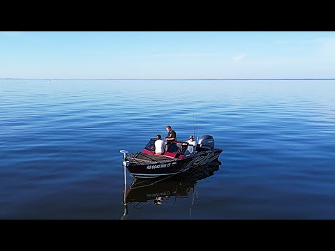 Видео: ЭЛЬДОРАДО на Рыбинке! БЕШЕНЫЙ клёв в штиль! Поймали все.