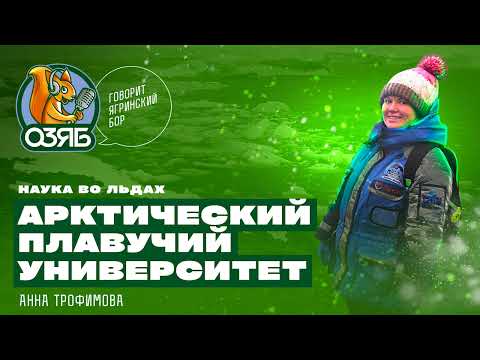 Видео: Наука во льдах. Арктический плавучий университет. Анна Трофимова