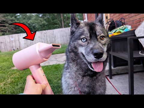 Видео: Это ЛУЧШИЙ легкий и бесшумный фен?