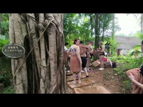 Видео: Термальные источники Чжуцзян Наньтянь на северной окраине города Санья