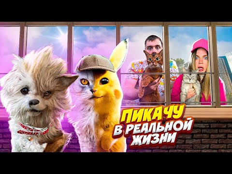 Видео: ПОКЕМОН ПИКАЧУ В РЕАЛЬНОЙ ЖИЗНИ | МОЯ СОБАКА СТАЛА ПОКЕМОНОМ БИЛЛИ ЧУ