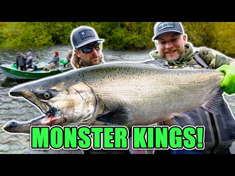 Видео: Вы не поверите, как вкусно клюет этот прибрежный чинук | Кто еще любит прыгать на спине?