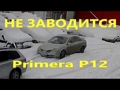 Видео: Nissan Primera не заводится