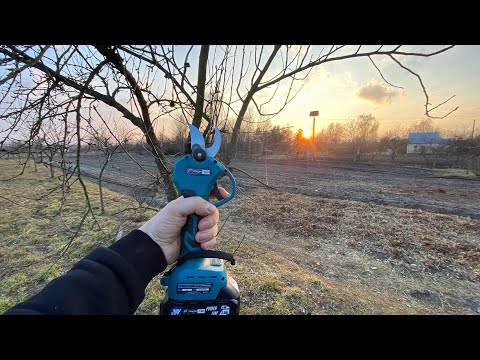 Видео: 😱 Акумуляторний секатор Profi-Tec – Ріже гілки, як масло! 🔥 Тест і огляд! 🌿✂️