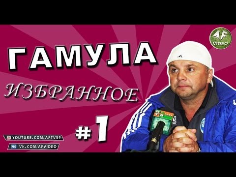 Видео: ГАМУЛА: ИЗБРАННОЕ #1